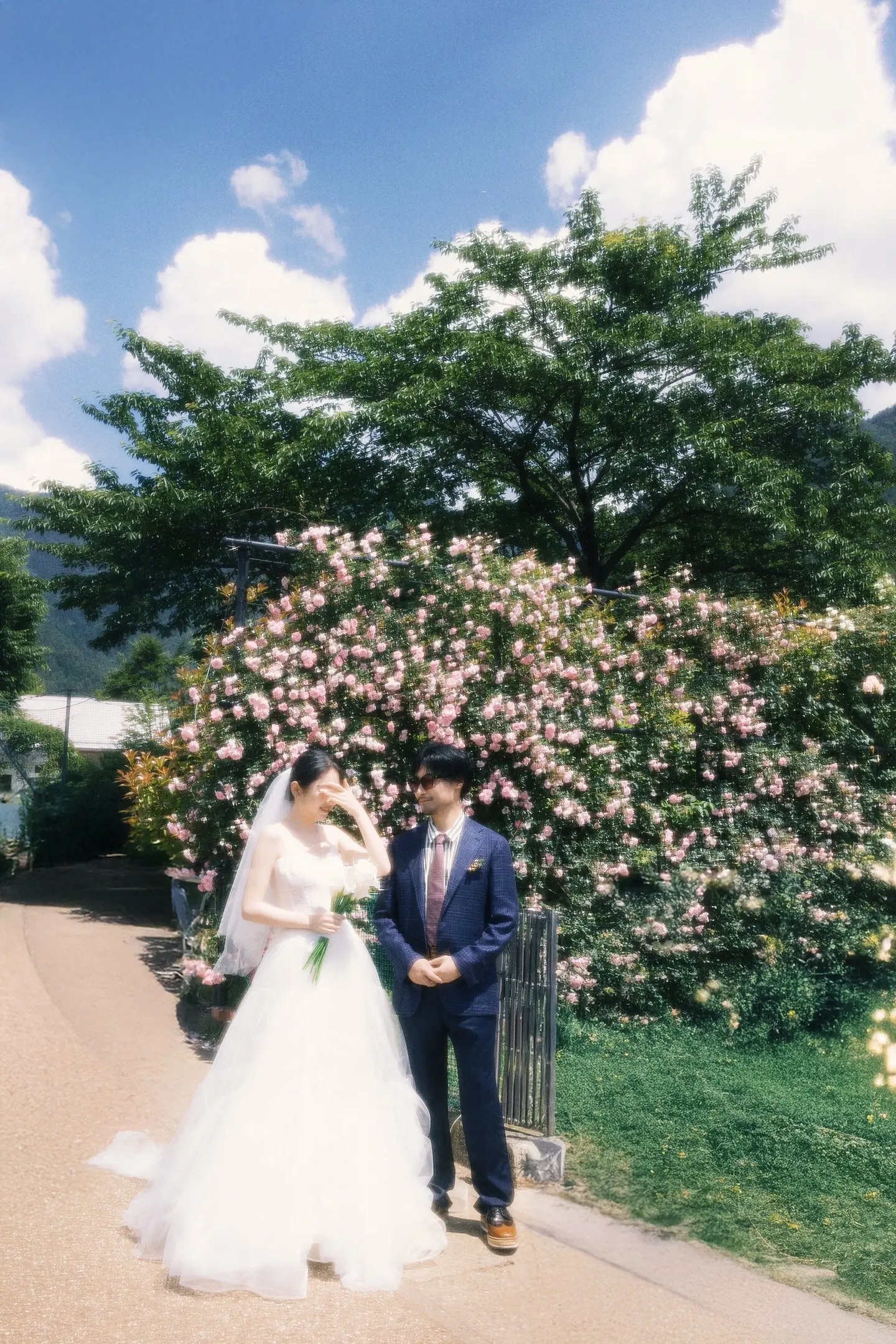 日本夏季花树下的恋人婚纱照