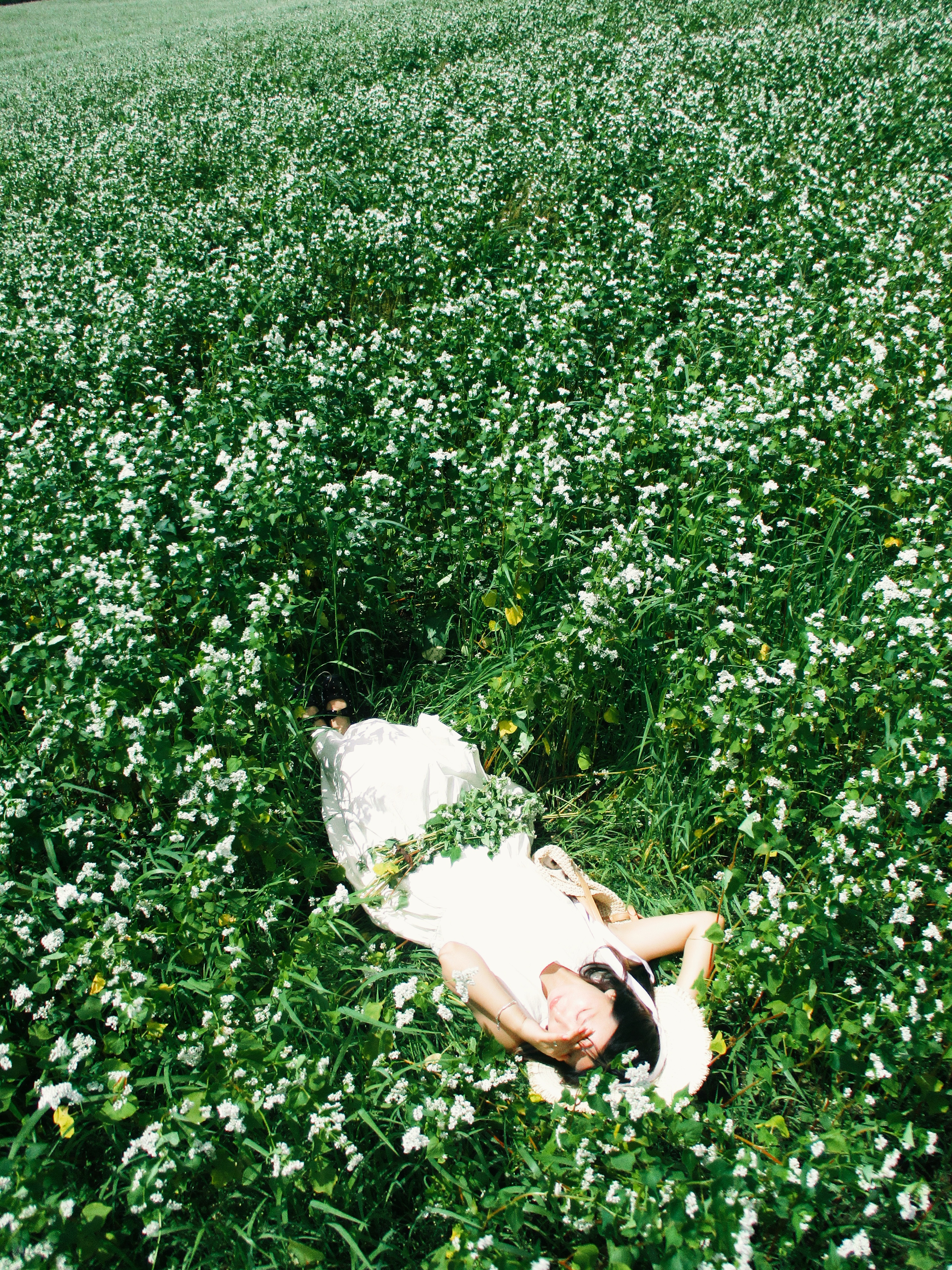 美瑛白花田俯拍夏日人像