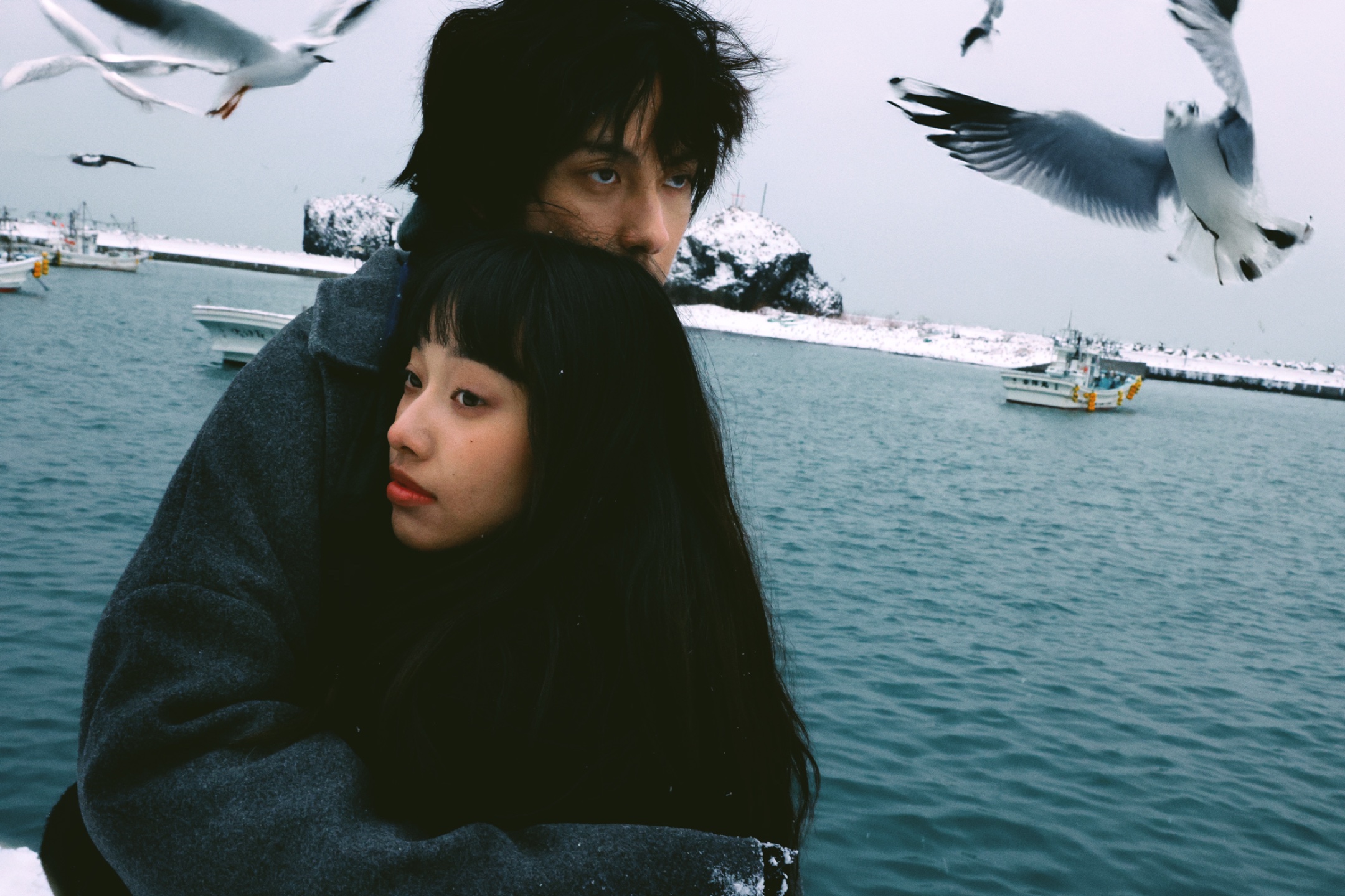 日本海边冬季恋人近景与海鸟