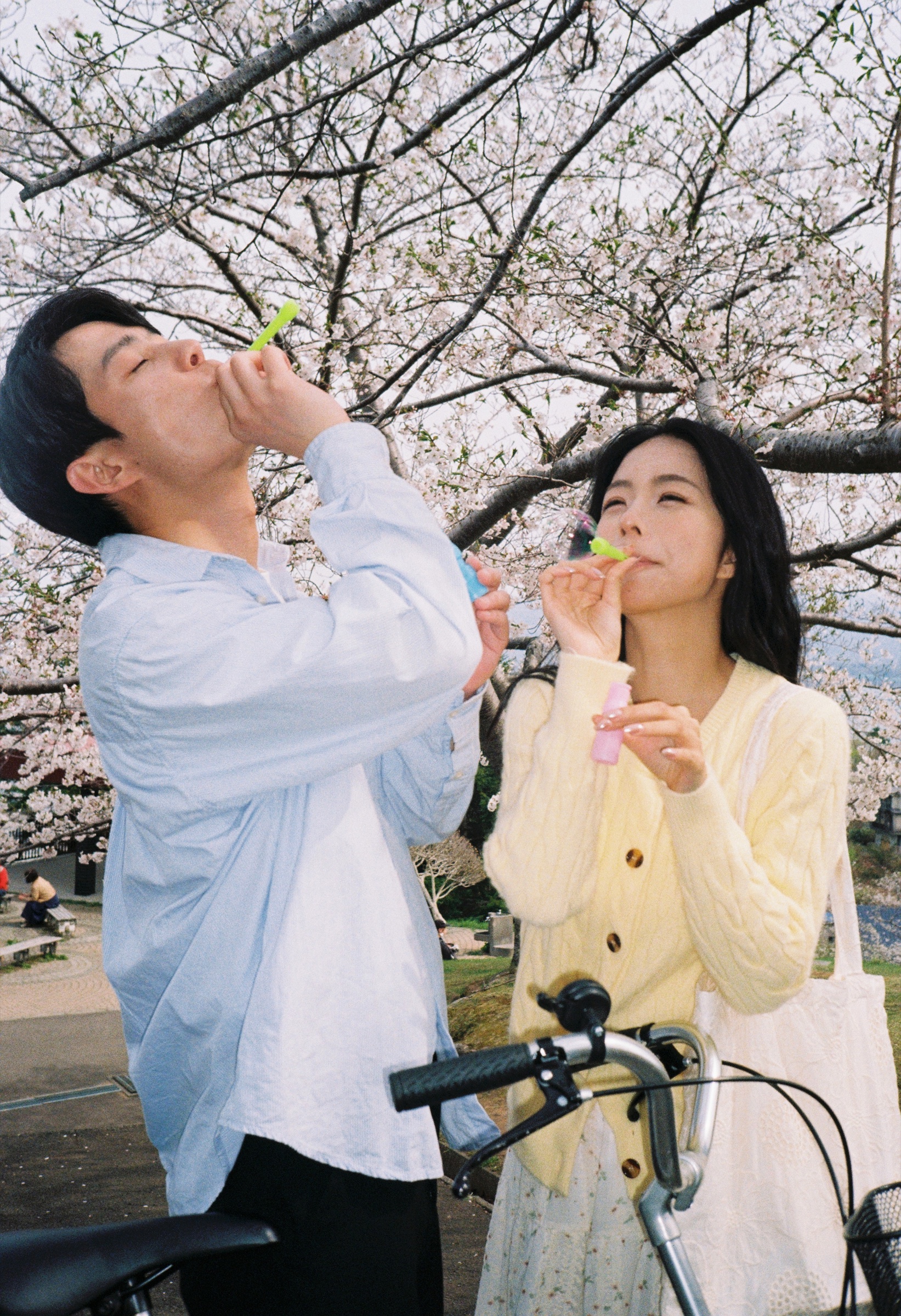小樽樱花下吹泡泡的情侣写真
